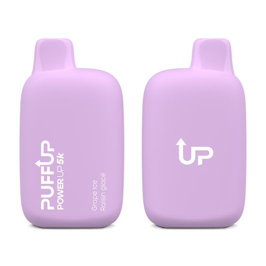 Puff Up Power Up 5k Disposable - Grape Iced 20MG 6pc/Carton